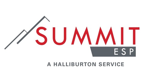 Summit ESP a Halliburton Service  photo